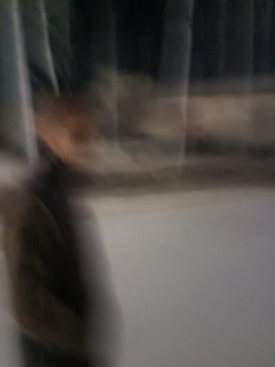 An obscured figure stands silhouetted against a blurred background. The scene is predominantly grey and indistinct, featuring vague shapes suggestive of a human form on the left and what appear to be vertical lines possibly indicating a window. The overall impression is one of motion and uncertainty, making it difficult to discern details.