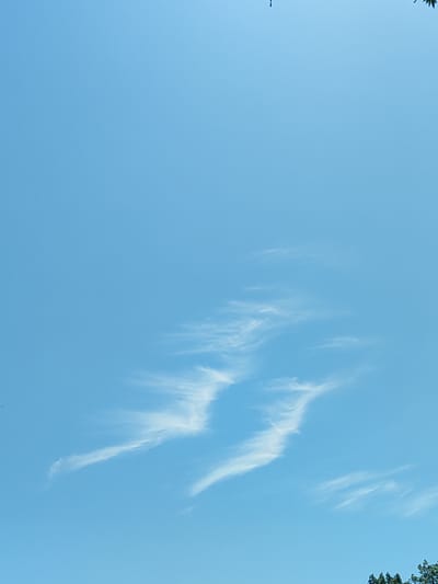 The image shows a clear blue sky with wispy cirrus clouds forming abstract shapes. A few dark green tree branches are visible at the top and bottom right edges of the frame, suggesting an outdoor environment. The overall scene is serene and open. There are no discernible people, actions, or interactions. The provided information states the location is Milanetto, Italy, however, the image itself does not contain any specific visual cues to confirm this.