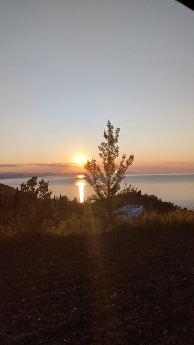 The image depicts a sunset over the sea, viewed from a hillside overlooking the water. The sun, a bright orb, is partially obscured by the horizon, casting a shimmering reflection on the calm sea. A tall, slender tree stands in the foreground, its branches silhouetted against the warm hues of the sky. Below the tree, a modern building with a white facade and blue accents is visible, nestled on the slope. The foreground consists of dark, tilled earth, possibly a field or garden, with some scattered dry leaves. The environment appears to be a coastal area with vegetation and hints of human development. The location is identified as Malyi Mayak, Ukraine.