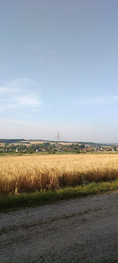 This is a vertical, eye-level shot of a rural landscape near Wachenroth, Germany. In the foreground, a gravel path runs diagonally from the bottom right corner. To the left of the path is a thick band of green grass. Behind the grass is a large field of ripe wheat, its stalks golden and reaching towards the sky, taking up the lower half of the image. The wheat field extends horizontally across the frame. In the midground, a village is visible nestled amongst rolling hills. Houses with red tile roofs and white walls are scattered throughout the scene, with some solar panels visible on rooftops. A prominent electricity pylon stands tall in the middle of the village. The background shows a treeline and more distant hills, with a pale blue sky dominating the upper half of the image, featuring a few wispy clouds. The lighting suggests it is either early morning or late afternoon. No people are present in the image.
