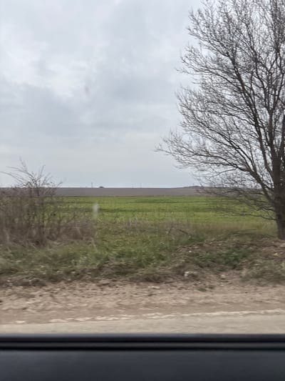 The image depicts an agricultural landscape in Lepitsa, Bulgaria, under an overcast, light grey sky. A dark, horizontal bar at the bottom suggests the viewpoint is from inside a vehicle. The immediate foreground consists of light brown, dry earth with sparse vegetation. To the left, a dense mass of leafless shrubs or small trees is visible. On the right, a large deciduous tree, devoid of leaves, frames the scene with its bare branches extending upwards. Beyond the foreground, an expansive area of cultivated fields is present, with sections exhibiting vibrant green growth and others appearing as darker, possibly tilled or fallow ground. The distant horizon is flat, featuring several faint, vertical structures. No human figures or specific actions are observed.