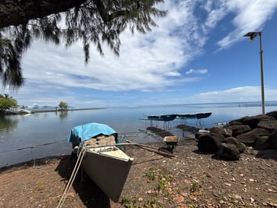 This image depicts a coastal scene in Māhina, France, under a partly cloudy sky. In the foreground on the left, a light-colored wooden boat rests on a dark, coarse shoreline, angled slightly right. Its bow is adorned with coiled ropes, and its interior is covered by a blue tarp, beneath which brown netting is visible. Overhanging dark, needle-like tree branches frame the upper left of the scene. To the right of the boat, a green wheelbarrow sits on the ground, facing left. A pile of large, dark rocks borders the waterline, extending towards the right edge, behind which a tall pole with a solar panel and an attached lamp is visible.
The calm, clear blue-green water occupies the midground. Two blue outrigger canoes are partially submerged in the shallow water to the right of the wooden boat, appearing to rest on their outriggers. Further into the water, a long, narrow pier or breakwater extends from the left, curving slightly towards the right, with several indistinct figures visible on or near it in the distance. Buoys are scattered across the distant water. In the background, a distant mountainous landmass is visible across the water on the far left. The sky is predominantly blue with scattered white cumulus clouds, indicating daytime conditions.