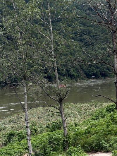 A wide, muddy river flows through a lush, forested valley. The riverbanks are covered in dense green vegetation, with tall trees framing the scene. In the distance, a group of people is visible in red rafts on the water. A white banner with Korean text hangs from a tree on the far bank. The image captures a serene natural landscape, likely in the Seo-myeon region of South Korea, given the presence of the Korean text and the characteristic topography.
