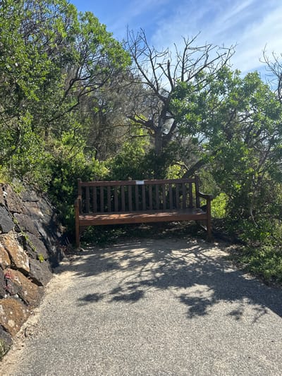 A brown, wooden park bench sits next to a paved path. Trees and vegetation surround the bench, casting shadows on the path. A rock wall borders the edge of the path near the bench. The sky above features a mix of blue and wispy clouds.