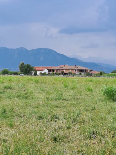 The image depicts a landscape scene in Macello, Italy, oriented vertically. On the left side of the frame, a hazy blue mountain range dominates the background, with a soft, overcast sky above. In the middle ground, a multi-story brick building with a red tile roof is visible, set against the backdrop of the mountains. The building appears to be a residential or commercial property, with several windows showing. A few trees are scattered around the building, and a white fence runs along the property line. The right side of the image is filled with a lush, green field of tall grass, swaying in what appears to be a gentle breeze. The lighting suggests it is daytime, possibly late afternoon, with diffused light due to the cloudy sky. The overall mood is peaceful and serene, with a sense of rural tranquility. No people or specific activities are discernible, and there is no visible text in the image.