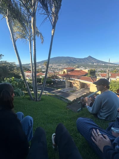 A group of people sits on a grassy incline overlooking a cityscape. Tall palm trees frame the left side of the view. A mountain range rises in the background. The city sprawls with buildings, seen below the trees. One person is visible in the center, crouching and working with a garden tool. Others sit around the lawn, their legs and some arms are partially visible. The sky is clear and blue.