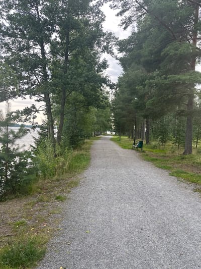 The image depicts a gravel path curving through a park-like setting next to a body of water. Tall trees, including pines and deciduous varieties, line the path on both sides. On the left, the water reflects the overcast sky and the surrounding foliage. On the right, a green park bench and a lamppost are visible along the path, which leads into a dense forest. The scene is characteristic of the natural landscapes found in Vammala, Finland, a town known for its scenic beauty and proximity to lakes and forests.