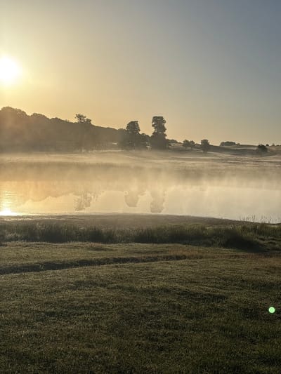 The image captures a serene, foggy morning landscape. The scene depicts a body of water, possibly a river or lake, shrouded in mist, reflecting the soft light of the rising sun. On the left, a tree-lined hill rises gently, silhouetted against the pale sky. The sun, a bright orb, is positioned low on the horizon, casting a warm, golden glow that pierces through the fog. The water's surface is rippled, with hints of vegetation growing along its banks. To the right of the water, a field of dense green grass extends into the foreground, its texture detailed and rich. A small, bright green dot is visible in the upper right corner of the field, possibly a light artifact or a very bright dewdrop. The overall atmosphere is tranquil and peaceful, evoking the quiet beauty of dawn. The location context suggests this scene is in Kongens Lyngby, Denmark. There is no visible text in the image.