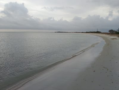 The image depicts a serene beach scene in San Pedro de Coche, Venezuela. The foreground features a sandy beach with scattered debris, including dried seaweed and small shells. The water's edge is marked by gentle waves lapping onto the shore. In the mid-ground, a vast expanse of calm, gray water stretches towards the horizon. The background reveals a distant coastline with sparse vegetation, including trees and some scrub brush. A few utility poles are visible along the coast, suggesting human presence or past development. The sky is overcast with heavy, gray clouds, contributing to a muted and somewhat somber atmosphere. There are no people or animals visible in the scene.