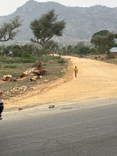 The image depicts an outdoor scene, likely in a rural area. A man is walking on a dirt path or road. To the right of the dirt road is a paved road. The background includes a mountainous landscape with trees. The foreground contains vegetation, rocks, and the roots of a fallen tree. The image appears to be taken in a village outside the city of Dawaki in Nigeria.