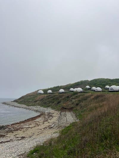 The image shows a coastal landscape, potentially in Zarubino, Russia, as indicated in the query. The scene includes a cliff overlooking a beach with rocky and sandy areas bordering the water. The water appears calm and reflects the overcast sky. On top of the cliff, a row of white, dome-shaped structures is situated. These structures, possibly glamping accommodations, extend along the cliff edge amidst green vegetation and brown, dry grass. A series of vertical posts can be seen along the cliff edge down to the beach. The sky is a uniform gray, suggesting a cloudy or foggy day. The landscape's natural features contrast with the manufactured domes, resulting in a distinct visual composition.