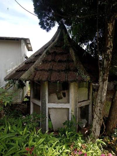 A small, decaying gazebo-like structure with a unique, multi-tiered roof sits amidst overgrown vegetation. The roof is covered in moss and grime. The structure's walls consist of deteriorating windows and concrete panels. A tall, weathered building is partially visible in the background. A large tree trunk stands beside the gazebo, its branches partially obscuring the scene. The overall impression is one of neglect and decay.