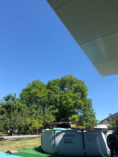 A sunny day is captured in an outdoor scene, likely a backyard in Suvorovo, Bulgaria. The sky is a clear, vibrant blue. In the foreground, a Bestway Steel Pro MAX above-ground pool is partially visible, its grey exterior showing the brand name and model. To the right of the pool, a person's legs are visible, indicating they are seated or lying down. The ground is covered with green artificial turf in front of the pool and natural grass in other areas. Behind the pool and turf, a large, lush green tree dominates the mid-ground, its dense foliage casting shadows. To the left of the large tree are more trees and vegetation. In the background, houses with tiled roofs are visible, with a chimney on one of them. A white, slatted overhang extends from the upper right corner of the image, providing shade over part of the scene. The overall impression is of a relaxed summer day in a residential setting.