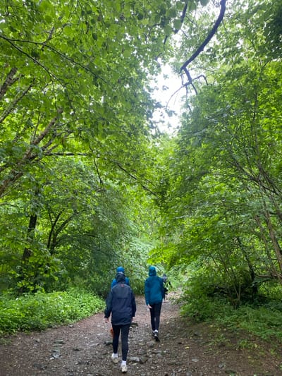 The image shows three people walking on a gravel path through a dense forest. The people are wearing blue and black jackets, with the person in the middle also wearing a blue hat. The path is lined with trees on both sides, and the foliage is thick and green. The sky is visible above the canopy, and the forest floor is covered in small stones and leaves. The image was taken in the forest near the town of Cockermouth, in the Allerdale District of Cumbria, United Kingdom.