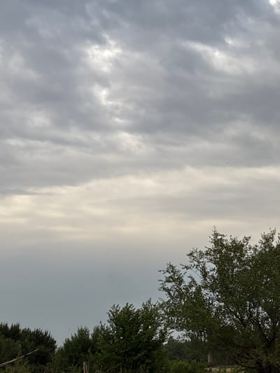 A cloudy sky fills the upper portion of the image. The clouds are gray and white, with some areas of brighter light suggesting the sun is attempting to break through. The lower portion of the image shows a dense line of green trees and foliage. In the upper right corner of the frame, a large tree with dark green leaves is visible. The overall scene appears to be a natural landscape, likely in a rural or semi-rural area. The image quality is moderate, with a slightly soft focus.