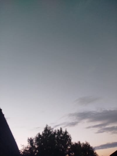 The image shows a dusky sky over a silhouette of trees and a dark, angular structure, possibly a roofline, on the left. The sky transitions from a light grey at the bottom to a darker, slightly bluish grey at the top. Wispy, dark grey clouds are visible in the mid-ground of the sky. The trees, silhouetted in dark green or black, are dense and form a bushy line across the lower portion of the image. The overall impression is of twilight in a rural or suburban setting. There are no people or discernible actions taking place. The location is specified as Leușeni, Moldova.