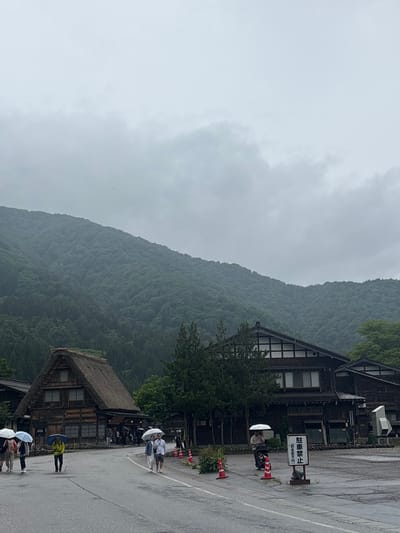 The image depicts a rural scene in the Shirakawa-go village of Shirakawa, Japan, on an overcast and rainy day. A large, densely forested mountain range, appearing hazy with mist, occupies the upper half of the frame. In the midground, traditional Japanese gassho-zukuri farmhouses with steep, thatched roofs and dark wooden facades are visible, interspersed with trees.

In the foreground, a wet, dark asphalt road curves from the left towards the right. Multiple individuals are present, most holding umbrellas. On the left side of the road, a group of four people walks away from the camera; three hold white or light-colored umbrellas, and one person wearing a bright yellow jacket holds a dark blue umbrella. Further along the road on the right, a couple walks together under a single white umbrella. To their right, another individual under a white umbrella pushes a stroller or cart.

Along the right edge of the road, several orange traffic cones are placed. A white rectangular sign with black Japanese characters is prominently displayed, indicating "駐車禁止" (Chūsha Kinshi), meaning "No Parking," with additional text below, likely detailing a fine. The overall environment is lush with greenery from the surrounding mountains and village trees, but the muted lighting and wet surfaces indicate recent or ongoing rain.