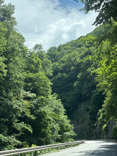 The image depicts a paved road curving through a dense, green forest. The road is bordered by a metal guardrail on the left and a steep, rocky embankment covered in vegetation on the right. Sunlight filters through the leaves, creating dappled shadows on the asphalt. The sky above is partly cloudy with patches of blue. The overall scene suggests a scenic route in a mountainous or hilly area, likely outside of a densely populated urban center. While the location is specified as Sv. Konstantin, Bulgaria, the image itself does not contain any explicit identifying markers for this city. The environment is natural and tranquil, with no people or vehicles visible.