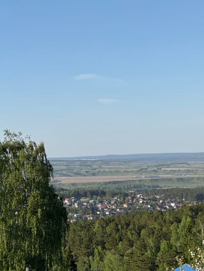 This media file captures a wide, panoramic landscape viewed from an elevated perspective. When correctly oriented, the scene reveals a clear, light blue sky dominating the upper portion.
In the foreground and mid-ground on the right side, a dense expanse of green deciduous trees is visible, with some white blossoms on the tree closest to the viewer's right. Nestled within or bordering this treeline is a village or small town, characterized by numerous houses featuring roofs of various colors, including red, blue, grey, and white.
Beyond the village and forest, the landscape stretches into an expansive plain. This area appears to be agricultural land or cultivated fields, marked by long, parallel strips of varying shades of green and light brown vegetation. Faint tracks or unpaved roads are discernible across these fields. In the far distance, a hazy line of hills or mountains forms the horizon.
The time of day is bright daylight, evidenced by the clear sky and strong illumination across the entire scene. The weather is sunny with minimal cloud cover. No people or visible text are present in the image, depicting a tranquil rural vista. The broad, cultivated landscape and village setting are consistent with a location like Minino Stantsiya, Russia.