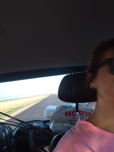 The image, taken from inside a vehicle, captures a person's side profile as they look out the rear window. The person, with brown hair and wearing a pink top and sunglasses, has a clover-shaped earring on their left ear. In the background, through the rear window, a road stretches into the distance, bordered by fields. Inside the car, fishing rods are visible in the back seat, along with a plastic bag with the word "NORM" printed on it. The scene appears to be a daytime outdoor setting, likely on a highway.