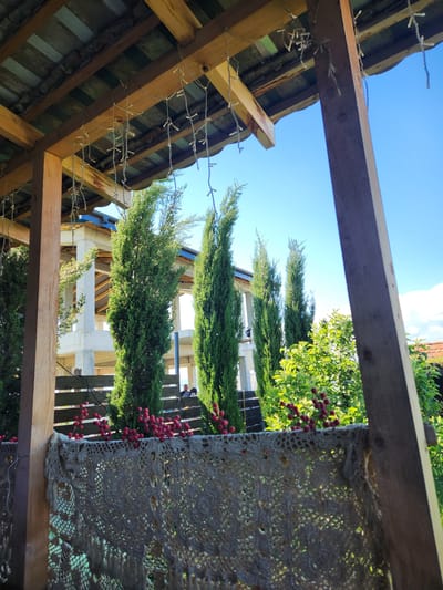 The image depicts an outdoor scene, reportedly located in Gorovani, Georgia, viewed from beneath a wooden pergola or shelter. The overhead structure consists of natural wood beams and rafters supporting a corrugated roof composed of alternating sections of dark greenish-blue and light gray material. Multiple strands of white, icicle-style string lights are suspended from these wooden beams. The perspective is framed by a vertical wooden post on the left and another on the far right.
In the mid-ground, a row of at least five tall, slender evergreen trees, consistent with Italian cypress, stands prominently. Behind these trees, a dark wooden horizontal fence or railing is visible. Further in the background, a multi-story, unfinished concrete building with exposed structural elements, including columns and floor slabs, is present. A bald-headed male figure is partially visible behind the fence and between the trees and the unfinished building, appearing to be observing the scene. To the right of the evergreen trees, a deciduous tree with bright green foliage is adorned with clusters of vivid red berries. A small section of a reddish-brown tiled roof is visible in the upper right background. The sky above is a clear, bright blue, with a small white cloud visible on the right side.
In the lower foreground, a light-colored, loosely woven or crocheted textile screen, displaying a distinct pattern, hangs, adorned with artificial sprigs of red berries. The scene is brightly illuminated by direct sunlight, indicating a clear day.
