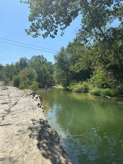 The image depicts a natural scene with a river flowing through a wooded area. On the left side of the river, a rocky bank is visible, with textured grey rocks partially covered in sparse green vegetation. The river itself is a clear, greenish hue, with visible ripples on its surface reflecting the surrounding trees and sky. In the middle distance, a person is wading in the river, appearing to be partially submerged. The background is filled with lush green trees and foliage, creating a dense forest canopy. The sky above is a clear, bright blue with some high-altitude clouds. Power lines are visible stretching across the sky in the upper portion of the image. The overall impression is one of a serene, natural environment on a sunny day.

The prompt requests the location be in the city of Acqualagna, Italy. However, there is no visual information in the image that would suggest this specific location. The scene appears to be a generic natural landscape.