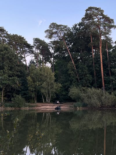 The image depicts a serene natural scene by a body of water, likely a lake or pond, situated in the city of Sonchamp, France. The foreground is dominated by the calm water, reflecting the lush green trees and the pale sky. Along the bank, several individuals are visible, appearing to be engaged in leisurely activities. One person is seated on the bank, seemingly observing the water or fishing. Two other individuals are also present, one appearing to be fishing as well, with fishing gear visible. The surrounding environment is characterized by dense woodland, with a variety of trees, including tall pines and deciduous trees, forming a verdant backdrop. The overall atmosphere is one of tranquility and nature's embrace, typical of a quiet, outdoor setting in the French countryside.