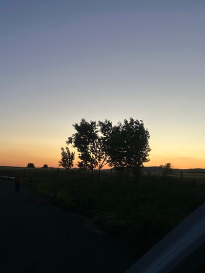 The image shows a sunset scene with a tree in silhouette against a sky gradient of blue to orange. The foreground is dark, likely a road, and there is vegetation and a fence line in the middle ground. The location is potentially near Vratitsa, Bulgaria, based on image information. There is a hint of a person standing near a bike rack. A possible portion of the side of a car is on the right.