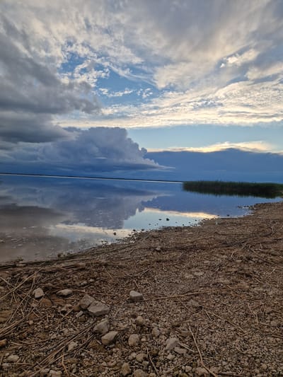 The image shows a reflective lake under a cloudy sky. The foreground is a rocky and debris-strewn shore with dry reeds and twigs scattered across the ground. In the middle ground, the calm water of the lake perfectly mirrors the sky and clouds, with a patch of green reeds growing on the right side. The background consists of a distant horizon and the sky, filled with dramatic clouds ranging from dark and heavy to light and wispy, with hints of blue sky peeking through. The lighting suggests it is either early morning or late evening. The scene is natural and tranquil, depicting a lakeside environment. There are no people or specific structures visible, indicating a natural landscape rather than an urban scene. The location is identified as Īdeņa, Latvia.