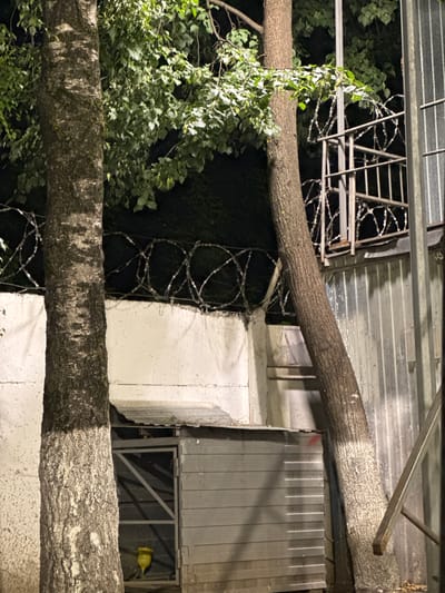The image captures an outdoor scene at night, likely in a secured area, with elements suggesting an urban environment in Dedovsk, Russia. In the foreground, two trees are prominently featured. The tree on the left has a thick, textured trunk with a lighter, rough bark pattern. The tree on the right is thinner and leans diagonally across the frame, with sections of its trunk painted white.
Behind the trees, a light-colored concrete wall is visible, topped with a dense coil of barbed wire, indicating a perimeter security measure. Beyond the wall, a corrugated metal fence runs horizontally. A metal structure with a railing and vertical bars, also intertwined with barbed wire, is situated to the right of the right tree and behind the barbed wire topping. Below the concrete wall and extending behind the left tree, a small, gray, shed-like structure with a metal door is partially visible. A yellow object, possibly a funnel, is suspended inside the open doorway of the shed. The lighting suggests artificial illumination from above, casting shadows and highlighting textures. The foliage of the trees, appearing dense and green, is visible against a dark background, suggesting nightfall.