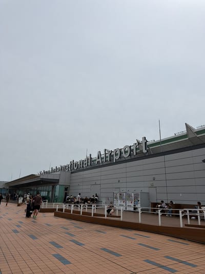This is a wide-angle, eye-level, exterior shot of Haneda Airport in Ota, Japan, on an overcast day. The airport building is a modern, grey structure with large windows and prominent signage that reads "International Airport." The foreground consists of a reddish-brown tiled walkway with blue accents. People are visible in the midground, walking with luggage and sitting on benches outside the airport. A man is walking away from the camera, pulling a black rolling suitcase. In the distance, vending machines and more people are seen near the airport entrance. The sky is a uniform pale grey, and the overall lighting is diffused.