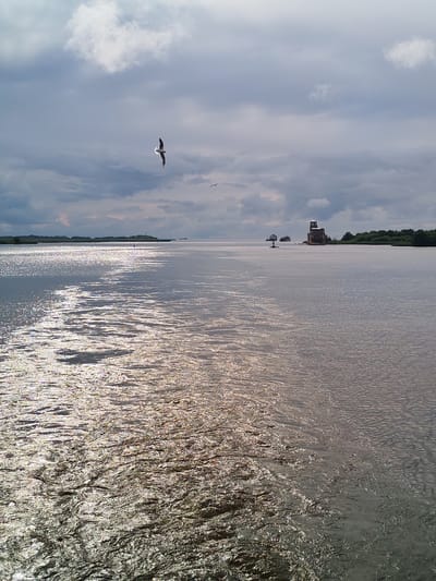 A wide-angle, eye-level shot captures a body of water with a choppy surface reflecting the overcast sky. In the distance, a low-lying island covered in green vegetation is visible on the horizon to the left, with a man-made structure resembling a tower built on a rocky foundation situated on another island or structure to the right. Several large ships are present on the water. A solitary bird is in flight in the upper left quadrant of the image, with smaller birds also visible. The lighting suggests it is daytime, though the sky is heavily clouded. The scene is set in or near Kargulino, Russia.