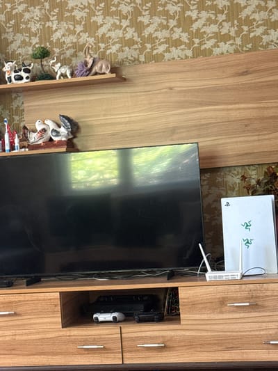 The image shows a television mounted on a wooden entertainment center. On top of the center sits a white gaming console and a router. The TV screen reflects outdoor scenery, hinting at daylight. Various decorative figurines are placed on a shelf next to the TV. The entertainment center has vertical wooden panels and storage compartments. The photograph appears to be taken indoors. The location in Gorni Bogrov, Bulgaria is not visually evident from the image. There are no visible people, actions, or interactions in the picture.
