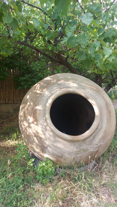 The image shows a large, weathered ceramic pot, likely a traditional Georgian qvevri or a similar vessel used for fermentation or storage, placed outdoors in what appears to be a rural setting. The pot is a light, earthy color with some discoloration and texture that suggests age and exposure to the elements. It is positioned on the ground, partially surrounded by dry grass and some green foliage.
To the left of the pot, lush green leaves and branches of a tree are visible, casting dappled shadows on the pot's surface, indicating it is daytime with sunlight filtering through the leaves. The tree branches are thick and somewhat gnarled, suggesting it might be a mature tree. A woven bamboo-like fence or screen can be seen behind the tree and extending along the left side of the image, providing some context for the environment.
The ground around the pot is covered with a mix of dry, straw-like grass and some patches of greener, low-lying plants. The overall impression is one of an outdoor space, possibly a garden, yard, or agricultural area, in a warm climate. There are no people visible in the image, and no specific activity is taking place; the scene is static and focuses on the pot and its surroundings. The lighting suggests it is likely daytime, possibly late morning or afternoon. There is no visible text in the image. The location context provided, Oshakan, Armenia, implies a setting that could be consistent with Armenian rural landscapes where such pots might be found.