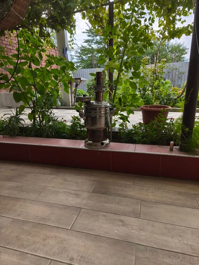 In Kollektivizator, Russia, a traditional metal samovar stands on a raised, tiled border in a garden setting. The samovar is silver and appears to be made of polished metal, with a cylindrical body and a spigot. It is surrounded by lush green foliage, including leafy plants and some smaller, flowering plants with orange blossoms. In the background, a grey metal fence is visible, along with a large, terracotta-colored pot. The ground in the foreground is paved with rectangular, wood-look tiles. A portion of a red-tiled wall or border is also visible. The scene is set outdoors, likely in a backyard or patio area, with a canopy of green leaves overhead.