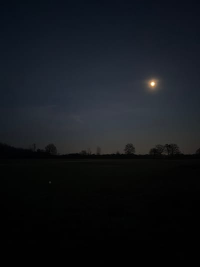 This media file captures a serene twilight or nighttime landscape in Hœrdt, France. The dominant feature is a bright, glowing circular object, likely the moon, positioned in the upper-left quadrant of the dark sky, casting a soft, diffused light. The sky itself appears hazy or slightly cloudy.

Stretching horizontally across the middle of the frame is a treeline of bare, deciduous trees, silhouetted against the faint ambient light. Below the treeline, the foreground is dominated by a dark expanse of ground, likely a field. A small, light-colored, circular object, possibly a golf ball, is faintly discernible on this dark ground towards the right side of the image.

The overall scene conveys a quiet, peaceful atmosphere. No people are visible, and no specific activity is taking place other than the static landscape view. There is no visible text in the image.