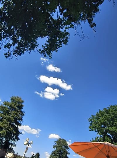 An outdoor scene in Oberviechtach, Germany, under a bright blue sky with scattered white clouds. The upper portion of the image is dominated by the dark green foliage of trees, with branches extending into the frame. In the mid-ground, a cluster of white clouds is visible against the blue sky. The lower portion of the image reveals the tops of two large, leafy green trees on either side. Between them, a street lamp with two globes on a pole is visible, along with some distant buildings. An orange umbrella, tilted and partially open, is in the lower right corner, suggesting a seating or recreational area. The perspective is from below, looking upwards.
