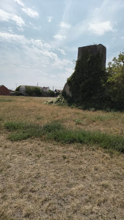 A concrete structure, possibly a former military fortification, covered in ivy stands prominently in the foreground on the right. The structure is weathered and rectangular at the top. To the left of this structure, a long, low, curved concrete building, also partially covered in ivy, is visible. This building appears to be embedded in the earth. Beyond these structures, several houses with red roofs can be seen, suggesting an urban or semi-urban environment. The ground in the foreground is covered with dry, brown grass and patches of green vegetation. The sky above is a light blue with scattered white clouds. The scene appears to be a sunny day. The presence of these concrete fortifications, particularly the long, curved structure, is characteristic of the Atlantic Wall defenses built by the Germans during World War II, many of which are located in and around Calais.