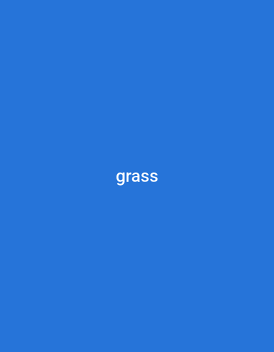 This media file features a solid, vibrant blue background with the word "grass" written in white, centered text. There are no people, objects, or discernible scene elements beyond the text and background. The activity, if any, is simply the presentation of the word "grass." There are no notable details regarding time of day, weather, or location cues within the image itself. The only visible text is the word "grass." The provided location context "Jauro Sent, Nigeria" is not visually represented in the image.