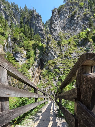 The image captures a view looking down a wooden staircase in a mountainous gorge. The staircase, constructed of weathered wooden planks and railings, descends into the gorge. Lush green vegetation covers the steep, rocky cliffs that flank the gorge. A waterfall cascades down the left side of the gorge. The sky above is clear and blue. The scene is likely part of a hiking trail within the city of Landl, Austria, known for its scenic natural landscapes.