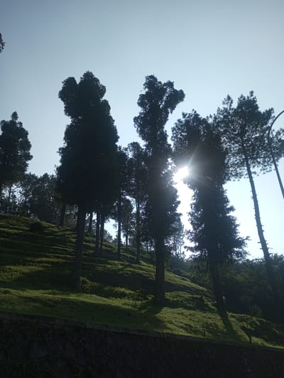 The image depicts a grassy hillside in Phouviang-Gnai, Laos, with a variety of trees silhouetted against a bright sky. The sun shines through the trees in the center of the frame. The hillside is terraced, and a dark stone wall is visible along the bottom edge of the image. A light post is on the right of the shot. The scene is devoid of people.