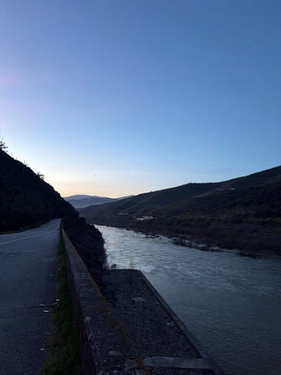The image depicts a river valley landscape near Lamego, Portugal, under low light conditions, likely dawn or dusk. In the immediate foreground on the left, a dark asphalt road with a solid white line along its right edge curves to the left and ascends. To the right of the road, a dark, robust retaining wall, constructed of stone or concrete, separates the road from a wide river below.

The river flows from the background towards the foreground, exhibiting a dark, reflective surface with visible ripples and turbulent areas. Dark, submerged vegetation or rocky outcrops are visible along the far bank of the river. Across the river, a series of dark green hillsides rise, some showing terraced patterns. Several small, distant buildings with light-colored roofs are sparsely visible on these hills. The hillside immediately adjacent to the road on the left is steep and densely covered with dark vegetation.

In the background, successive layers of hills and mountains recede into the distance. The sky overhead is a clear, deep blue, transitioning to a lighter blue and a faint pale orange-yellow hue near the horizon, consistent with twilight. Numerous tiny dark specks, possibly birds, are scattered across the upper sky. No individuals or vehicles are present in the visible scene.
