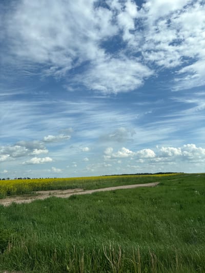 The image depicts a rural scene near Голацкі сельскі Савет, Belarus. A dirt path separates a field of blooming yellow rapeseed on the left from a meadow of green grass on the right. The sky is predominantly blue with wispy cirrus clouds and some cumulus formations closer to the horizon line. The image is vertically oriented.