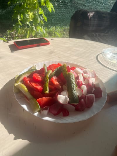 The image depicts a close-up of a white plate filled with a fresh salad consisting of chopped tomatoes, sliced cucumbers, and diced radishes. The salad is placed on a light-colored, possibly plastic, outdoor table. In the background, out-of-focus elements include green foliage, suggesting an outdoor setting with trees and possibly a privacy screen. A red smartphone is visible on the table to the left of the salad. The scene is bathed in sunlight, creating distinct shadows on the table surface. The location is specified as Rakhinka, Russia.