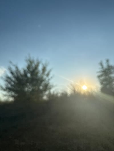 The image shows a hazy, out-of-focus view of trees against a blue sky with the sun shining brightly. The sun is a bright orb with rays extending outwards, creating a lens flare effect. The trees appear as dark, indistinct shapes. The lower part of the image is dark, suggesting foliage or ground cover. The overall impression is one of a sunny day, possibly early morning or late afternoon, with a soft, diffused light. The location is specified as the city of Sadovoe, Moldova.