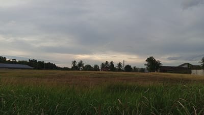 This is a landscape photograph taken at dusk in Geulanggang Baro, Indonesia. The foreground is dominated by tall, green grass, suggesting a rural or semi-rural setting. Behind the grass, a large field of dry, golden-brown grass stretches towards a line of trees and buildings in the midground. Several structures are visible, including a long, rectangular building with a dark roof on the left, a house with a red roof and a communication tower behind it in the center, and other residential buildings and a wall on the right. Coconut palm trees are scattered among the buildings, characteristic of tropical regions. The sky is overcast with gray clouds, with a faint hint of light breaking through near the horizon. The overall impression is one of a peaceful, undeveloped area at the end of the day.