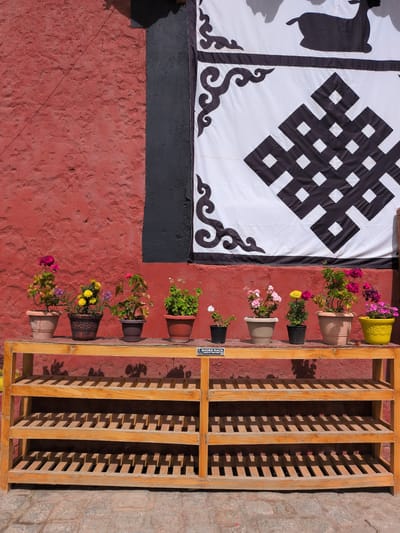 The image depicts an outdoor scene in Choma, India, featuring a wooden shoe rack laden with potted plants. The shoe rack is a light-colored, multi-tiered structure, with the top shelf holding several potted flowering plants. These include a plant with pink and purple flowers in a light beige pot, a plant with yellow flowers in a dark, ornate pot, a plant with pink flowers and green leaves in a dark pot, and a plant with small white flowers in a dark pot, and another plant with pink flowers in a yellow pot, and another with pink flowers in a tan pot. Behind the shoe rack, a textured red wall serves as the backdrop, with a black section and a large white banner adorned with black patterns, including a stylized deer and a complex geometric knot, covering a portion of the upper wall. The ground in front of the shoe rack is paved with rough stones. The scene is illuminated by natural sunlight, casting shadows from the plants and the shoe rack onto the ground and wall. There are no people visible in the image.