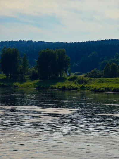 The image shows a wide river in the foreground, with its surface rippling and reflecting sunlight. The background features a lush green riverbank with trees and bushes. Beyond the riverbank, a dense forest covers a gentle slope, forming a dark green backdrop. The sky above is a pale blue with scattered white clouds. The scene appears to be located on the bank of the Sylva River in the city of Predivinsk, Russia, during daylight. There are no people or animals visible in the image.