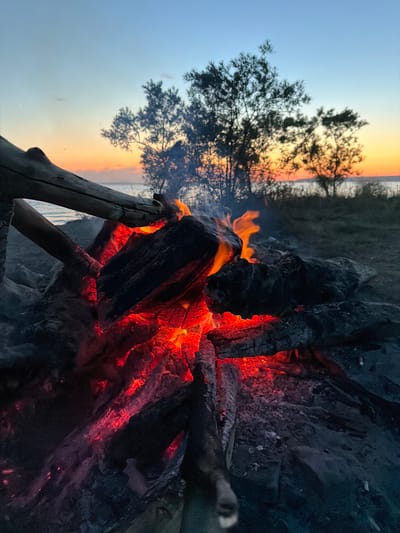 A close-up shot of a campfire burning on a beach during sunset. The fire is in the foreground, with glowing red embers and orange flames licking at dark logs. In the background, a tree line borders a body of water, and the sky transitions from a soft orange at the horizon to a pale blue overhead. The scene is set in Berdsk, Russia.