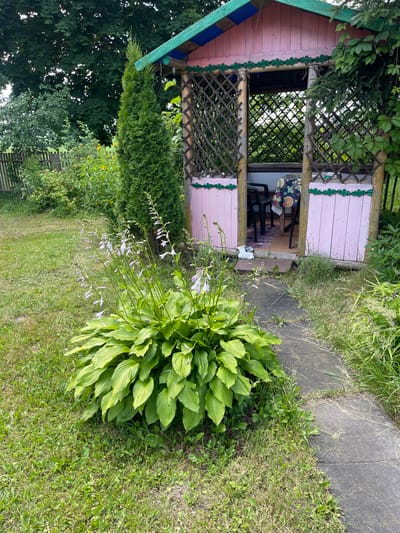 The image shows a pink wooden gazebo with a green roof, located in a grassy yard with trees and plants. A concrete path leads to the entrance of the gazebo. Inside the gazebo, there is a table covered with a patterned cloth and two black chairs. A small white figurine, possibly a rabbit, is placed near the entrance on the path. A large hosta plant with purple flowers is in the foreground to the left of the path. The environment appears to be a residential yard in the countryside. The specific location of Калодзежскі сельскі Савет, Belarus, is known to be a rural area.